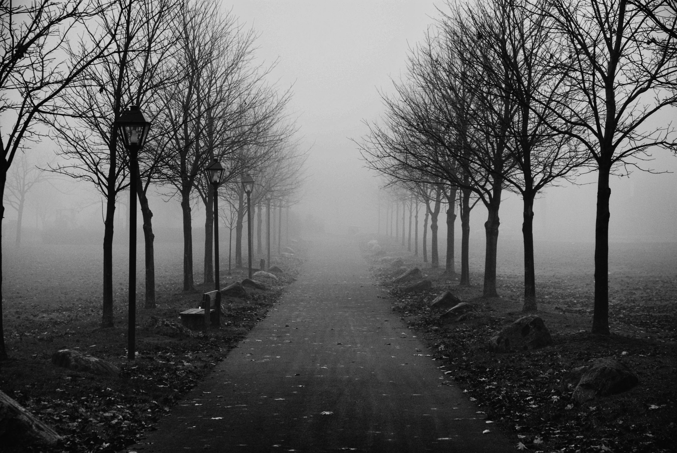 foggy_sidewalk_morning_fog-scaled