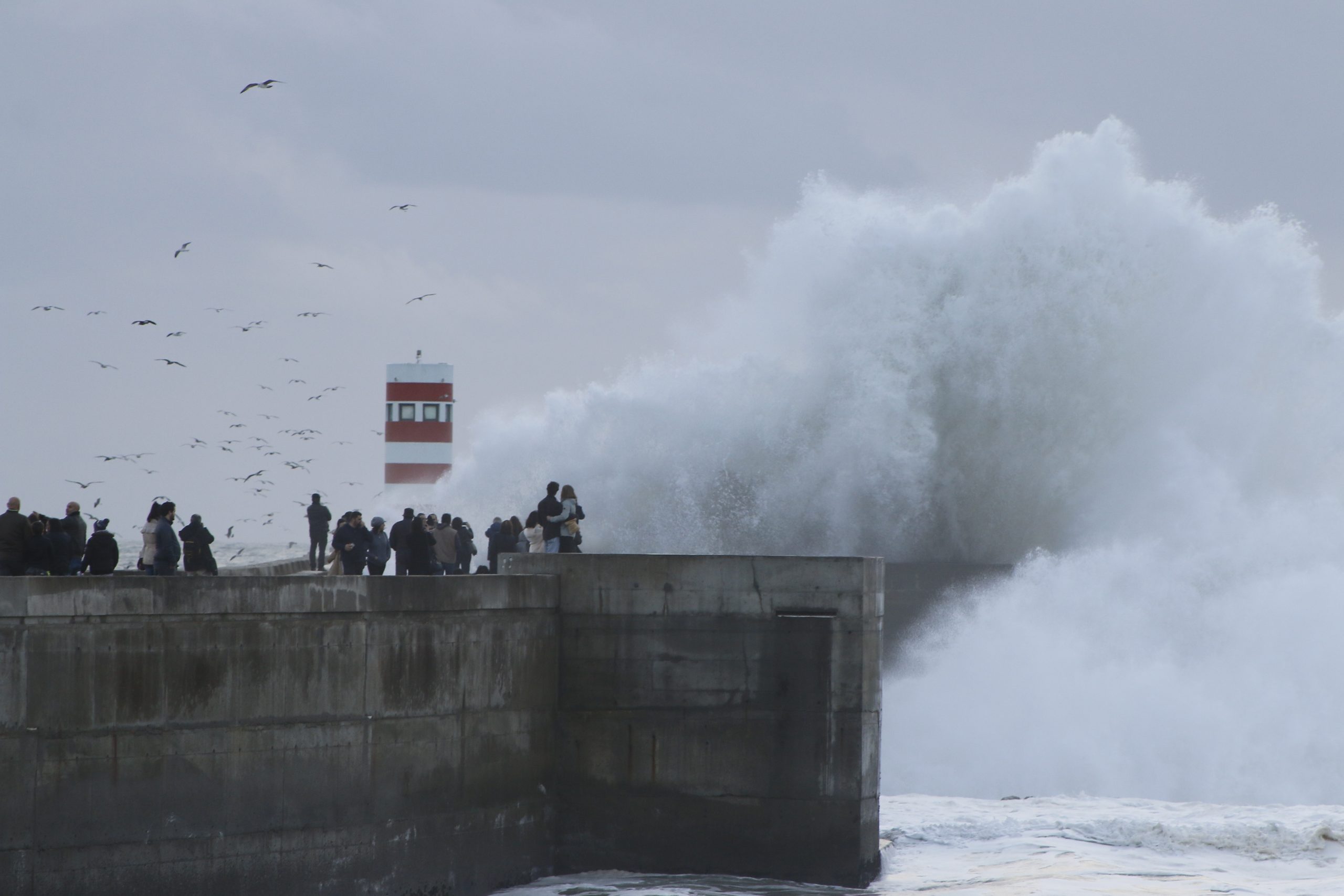 giant_wave_rough_sea-scaled