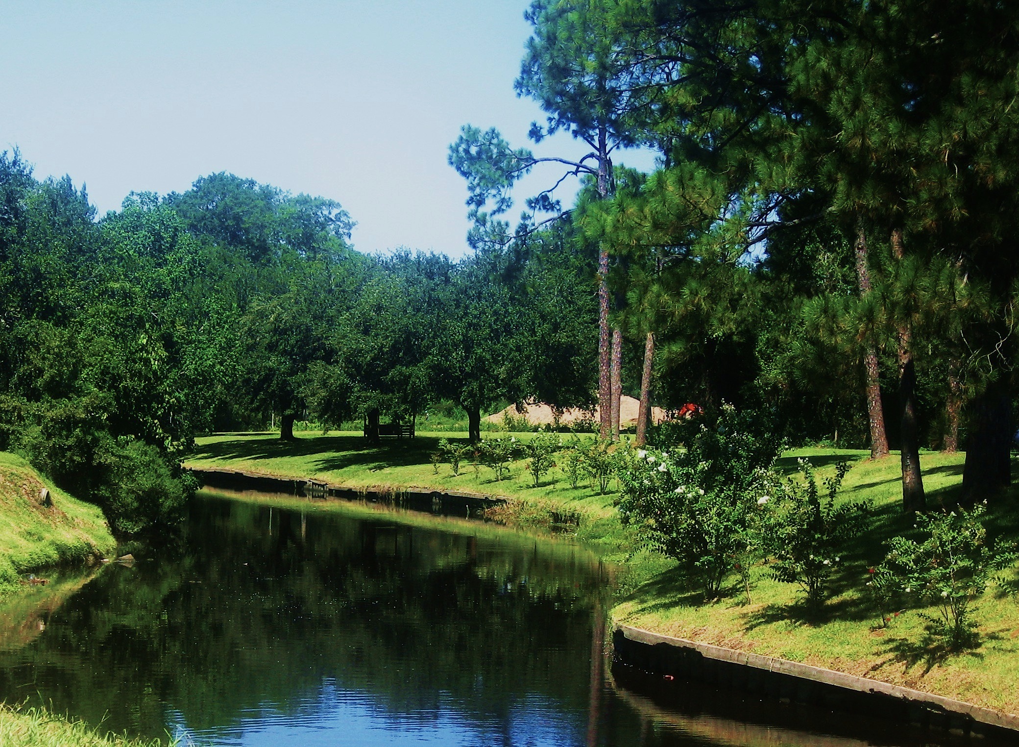 louisiana_park_stream_pond