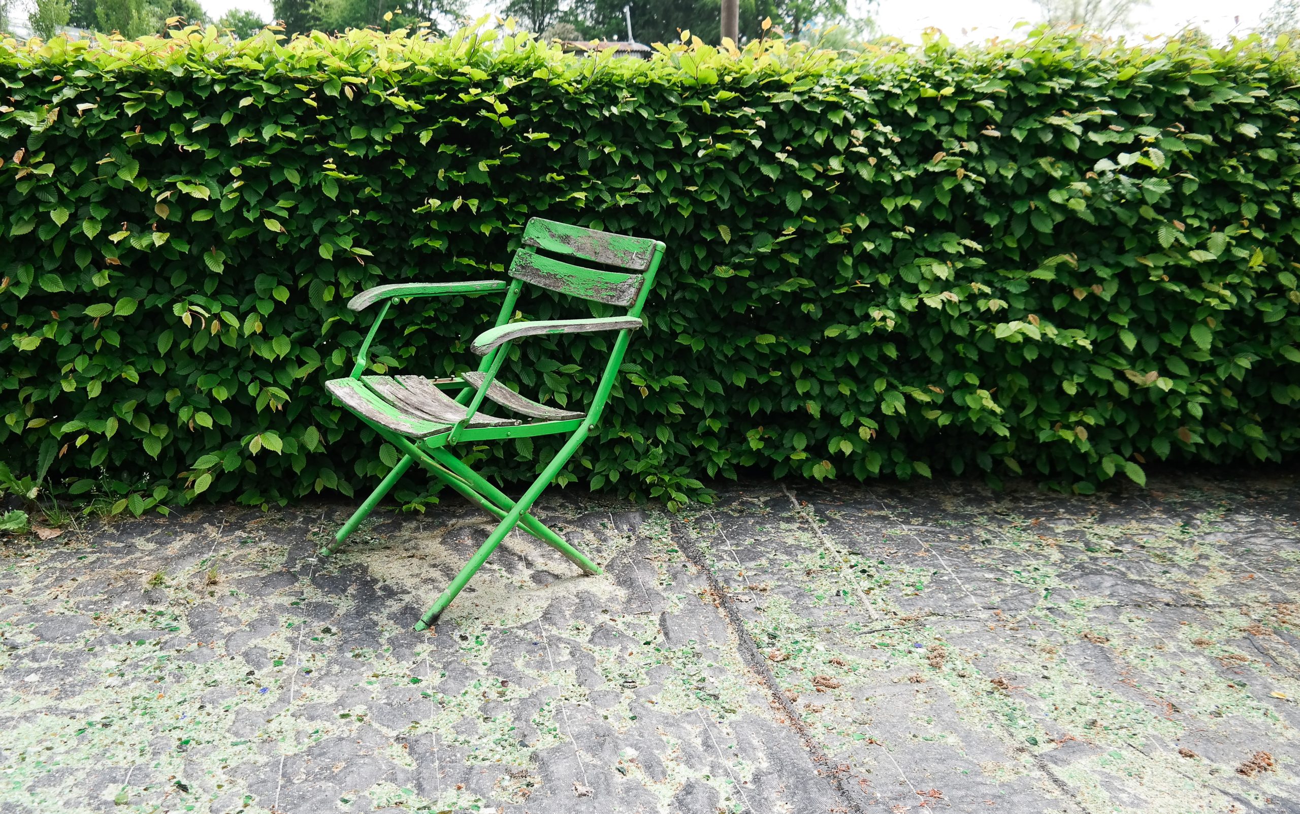 chair_garden_green_hedge-scaled