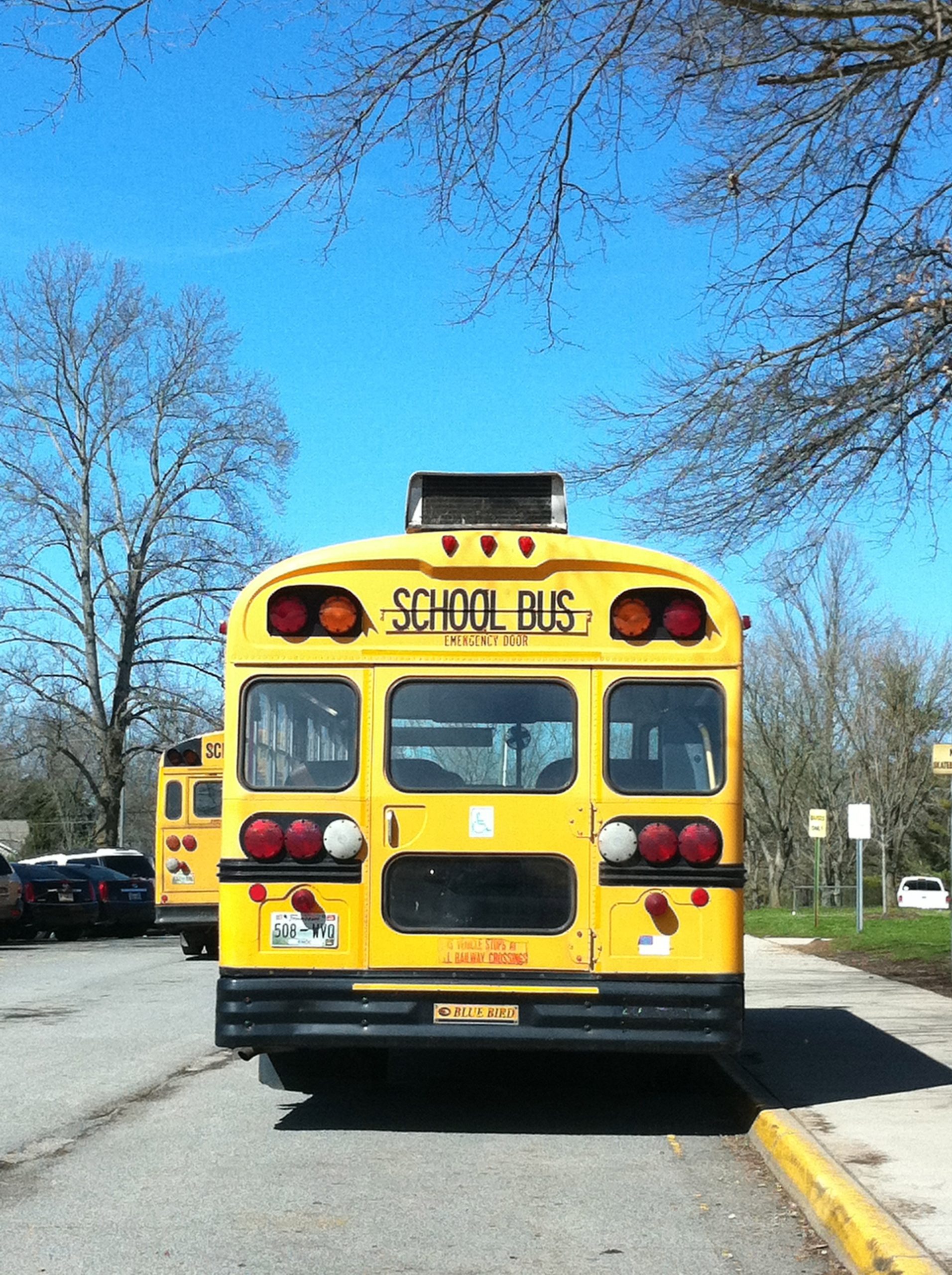 school_school_bus_bus-scaled