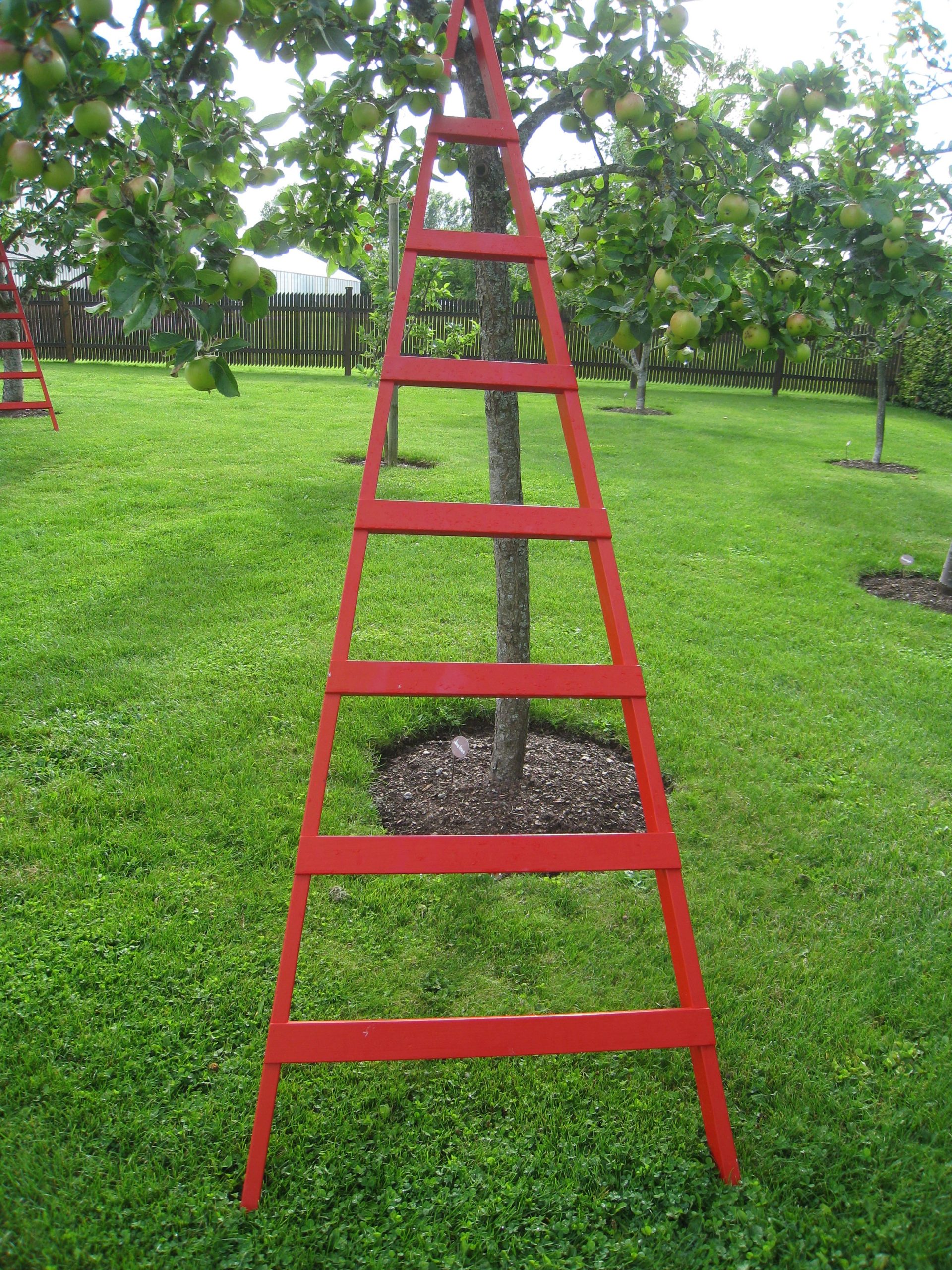 ladder_art_red_garden-scaled