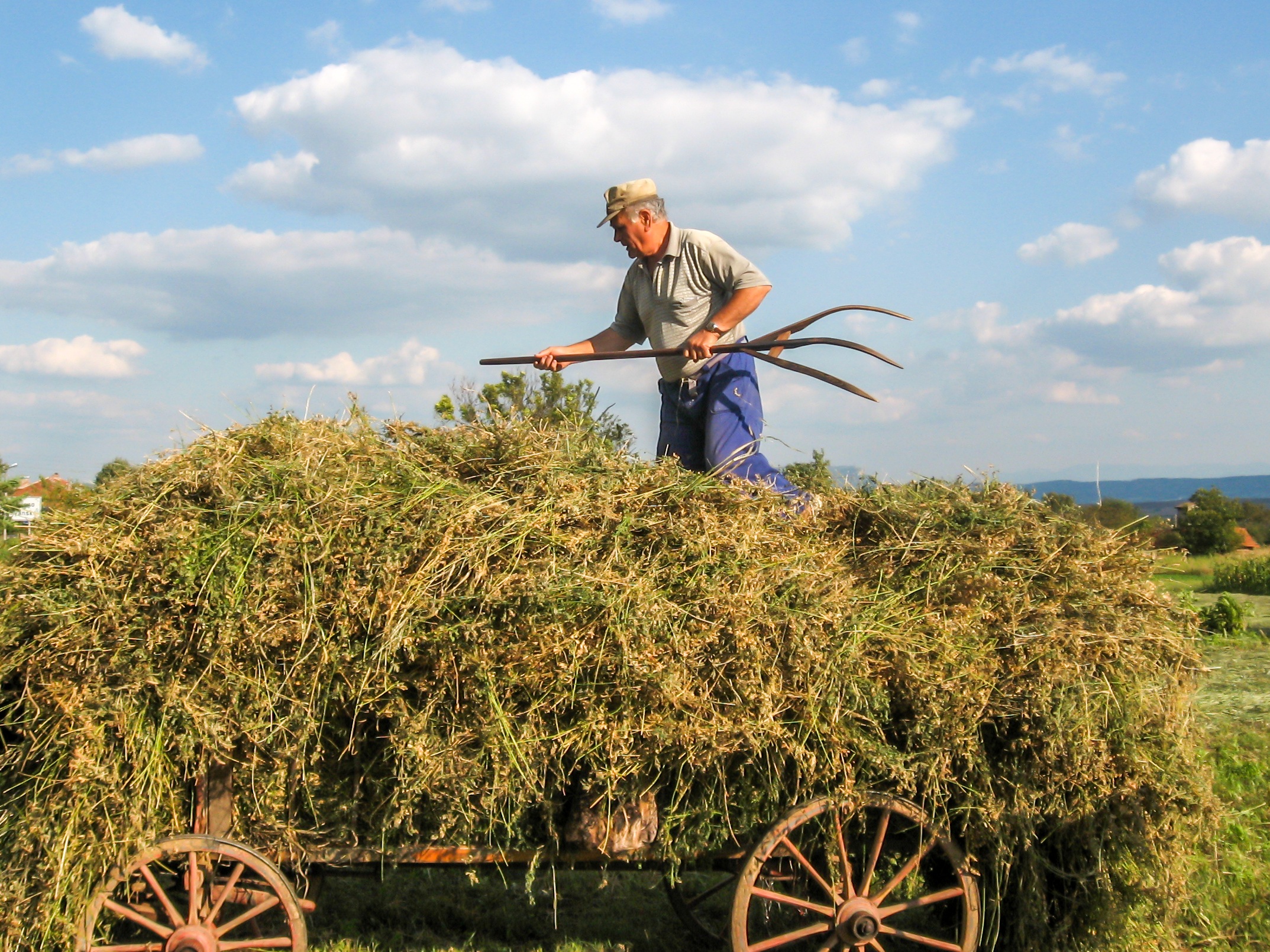 labor_farmer_village_work